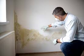 Best Environmental Consulting for Mold Prevention  in Owings, MD